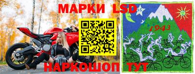 тгк Дмитров