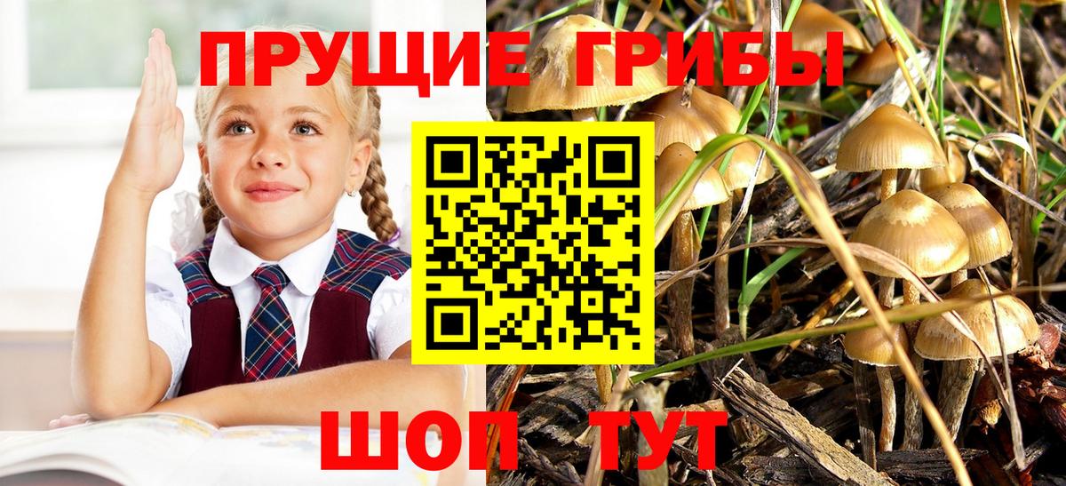 Галлюциногенные грибы прущие грибы Протвино