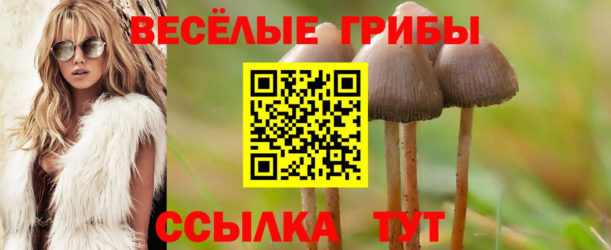 Alpha PVP Протвино