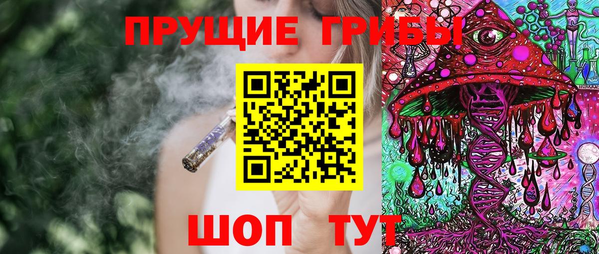 Псилоцибиновые грибы Psilocybine cubensis  Псилоцибиновые грибы MAGIC MUSHROOMS  Вход с VPN  Протвино 